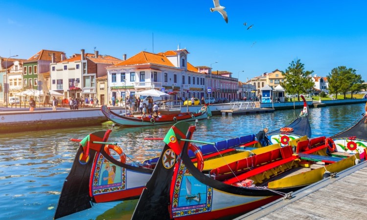 Tradicional Aveiro boats