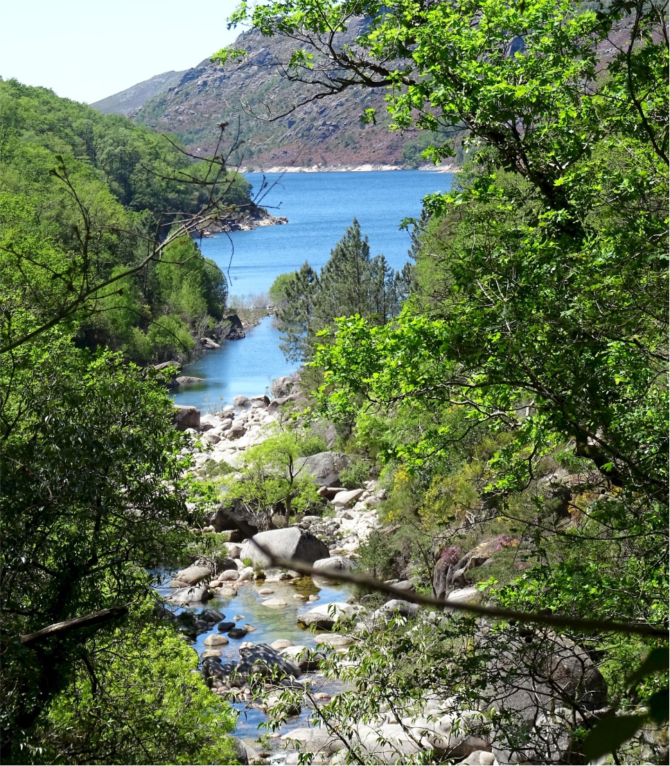 Multi-Activity Tour in Gerês National Park
