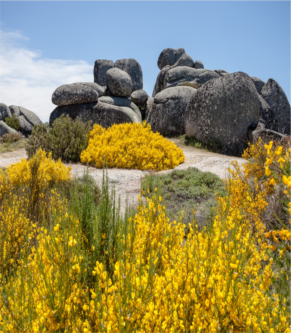 Serra Estrela Natural Park