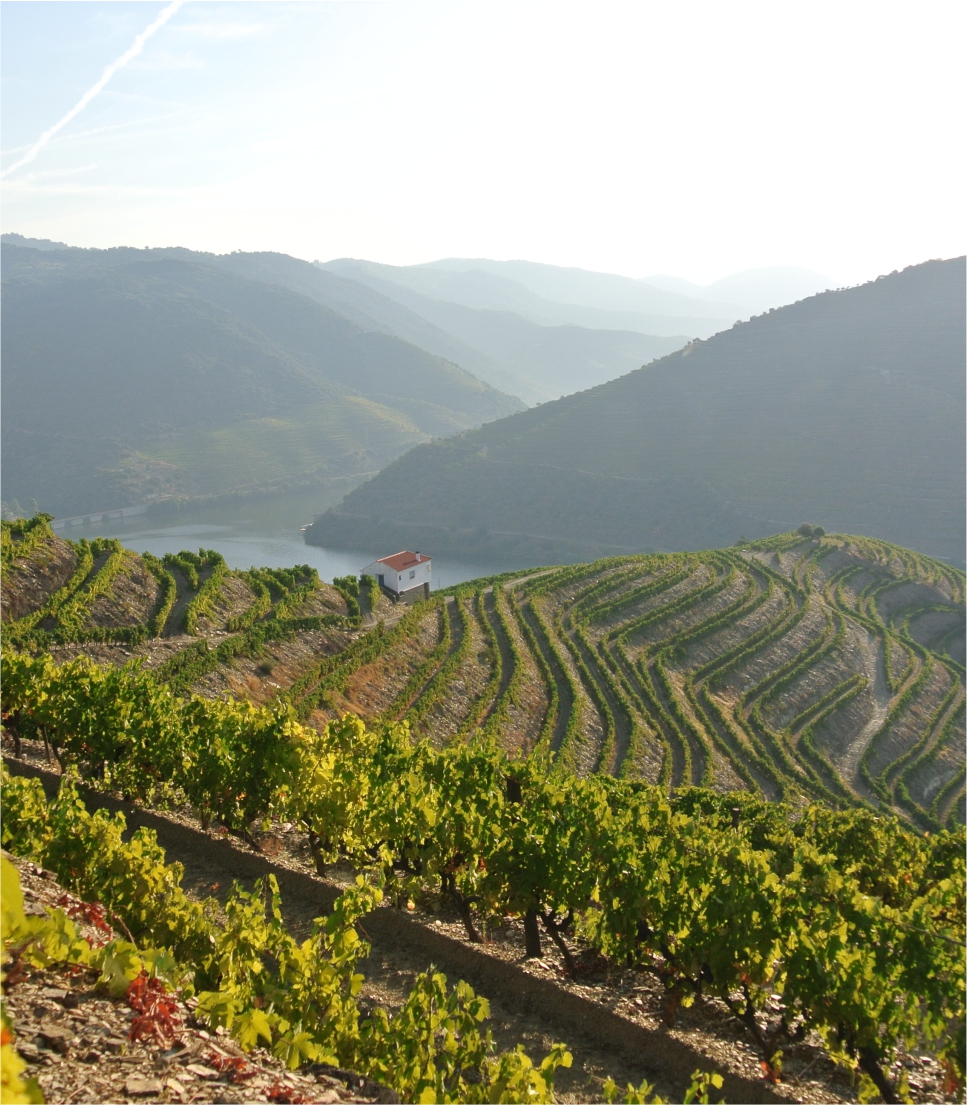 The Magical Douro