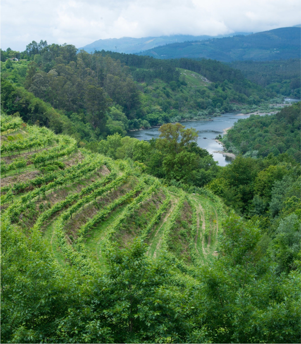 The Great Rivers Of Vinho Verde