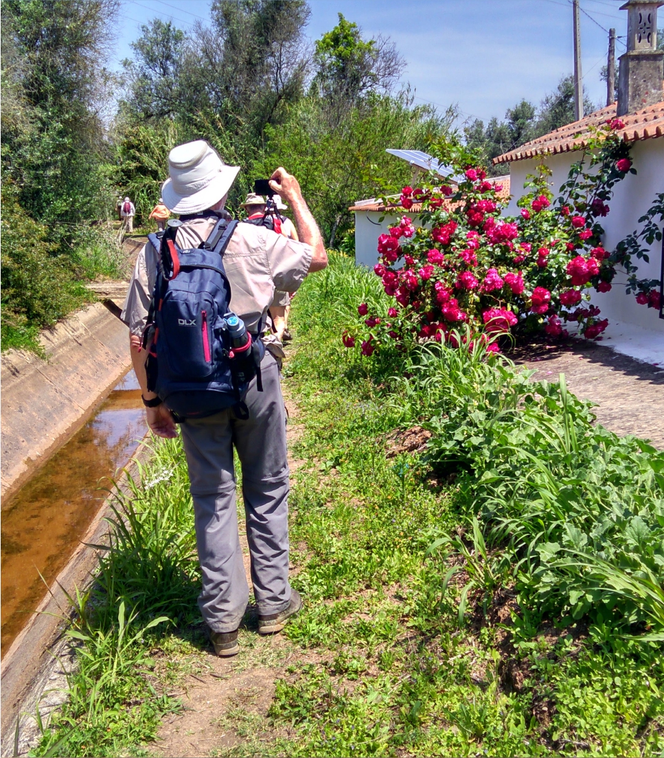 Appreciating the tranquil Ria de Alvor in the West Algarve