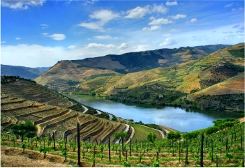 Exploring The Douro Valley