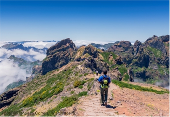 East Madeira